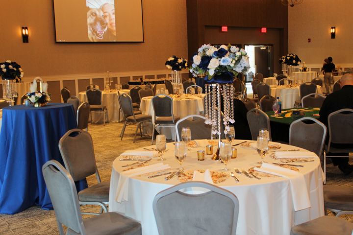 The Room at Lynette's 50th birthday celebration, photograph 3.